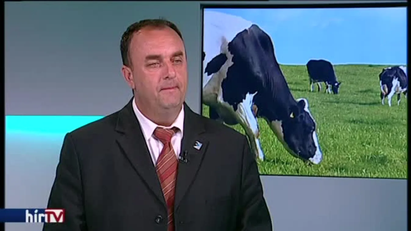 Reggeli járat – Újra tehenekkel tüntettek Budapest utcáin a tejtermelők