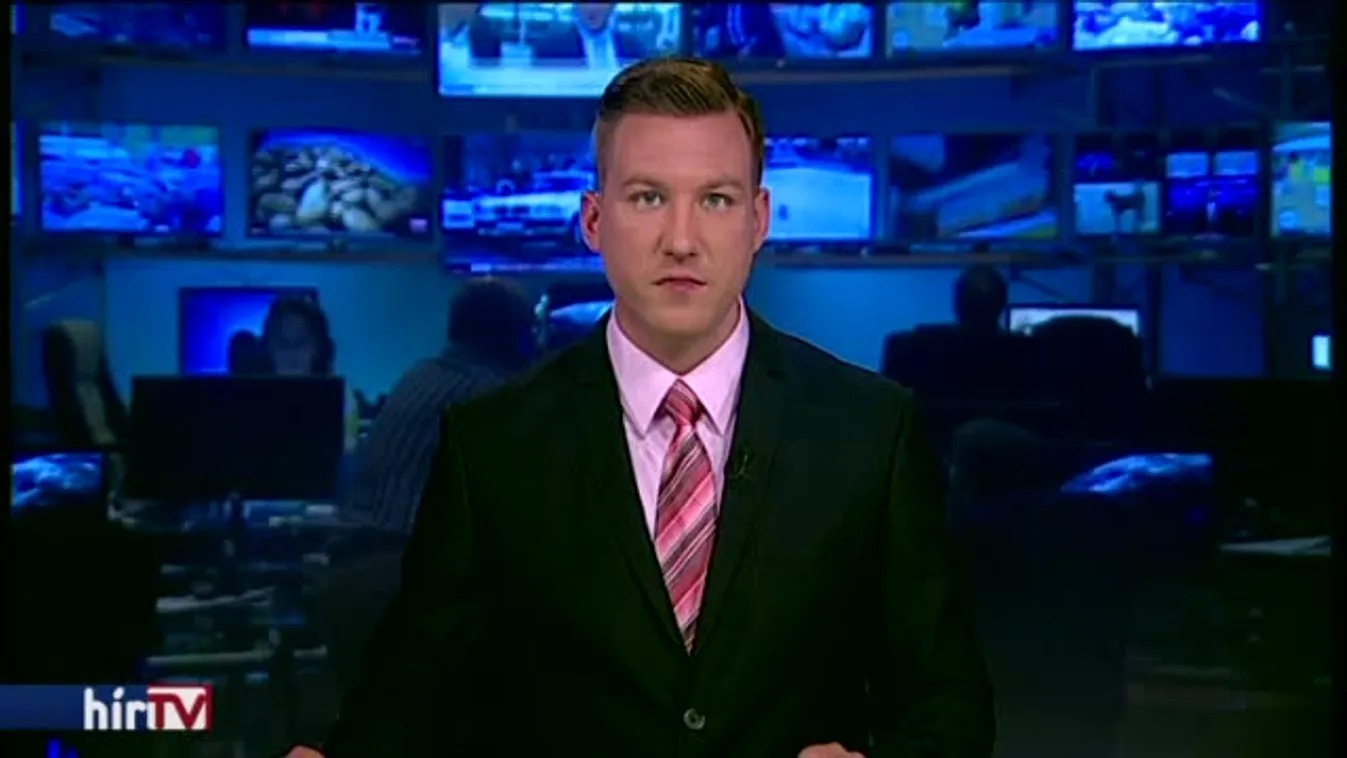 Nyolc kutyát és három macskát fogadtak örökbe