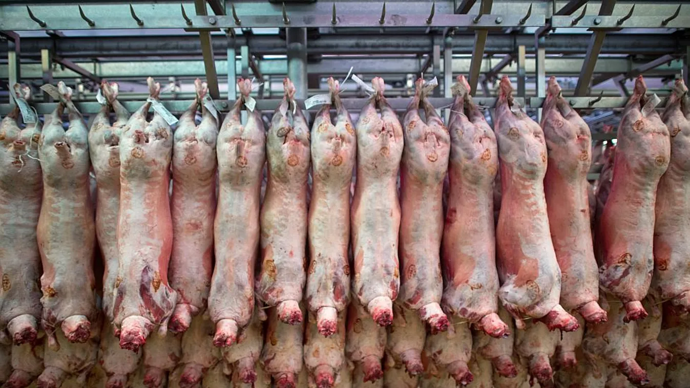 Döntően magyar a hús