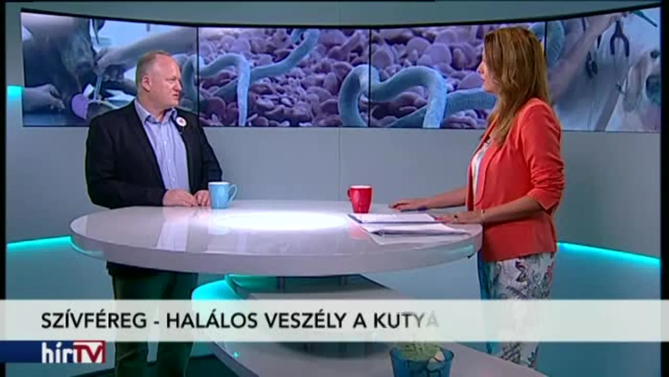 Reggeli járat - Kutyabaj