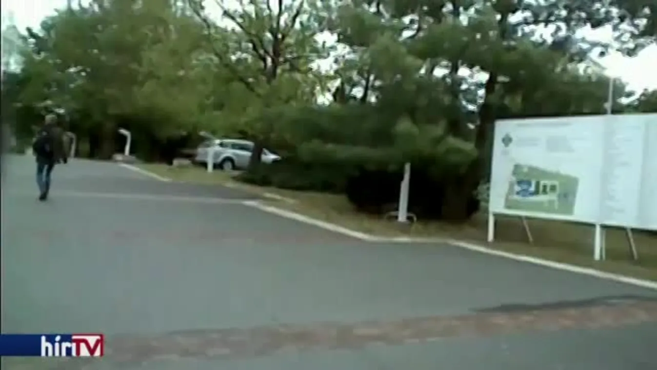 Látótér – Kórházi reality