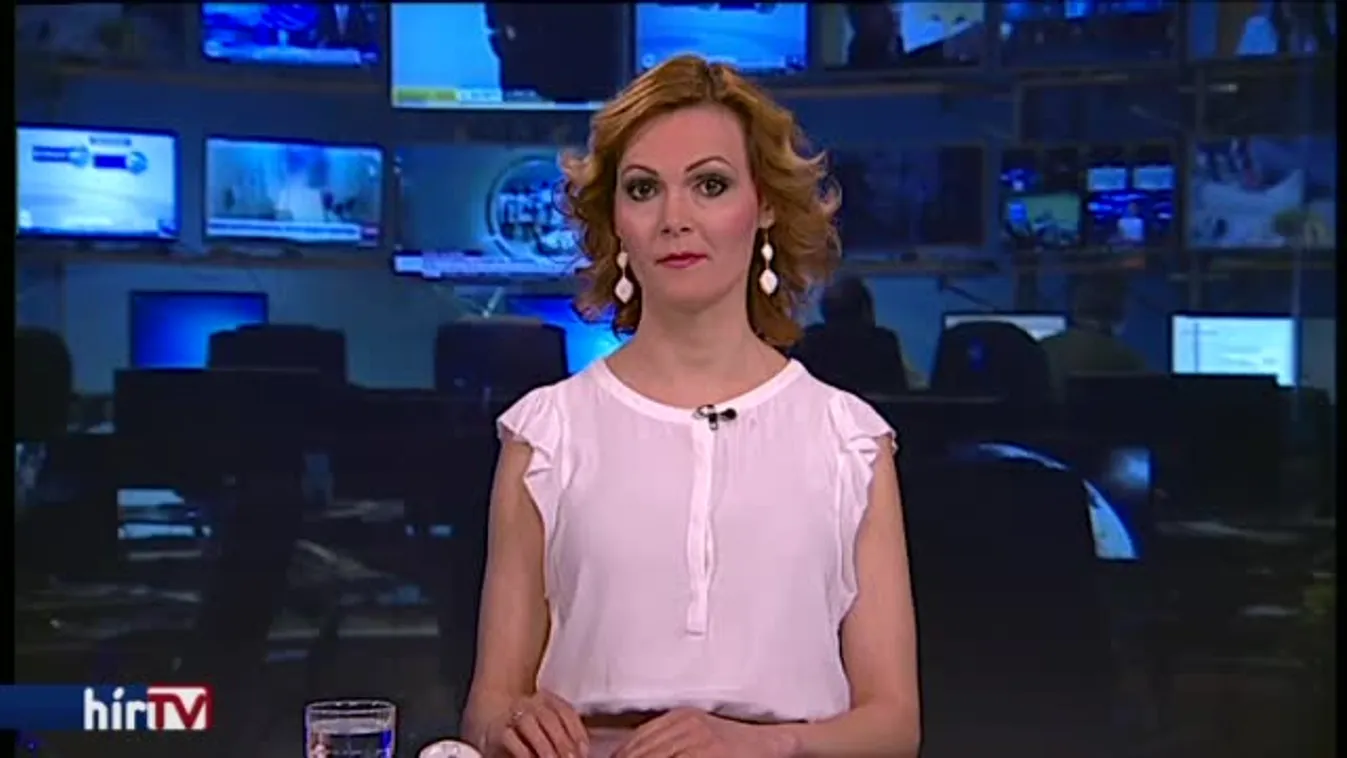 Gyurcsány: Matolcsy György egy bűnöző