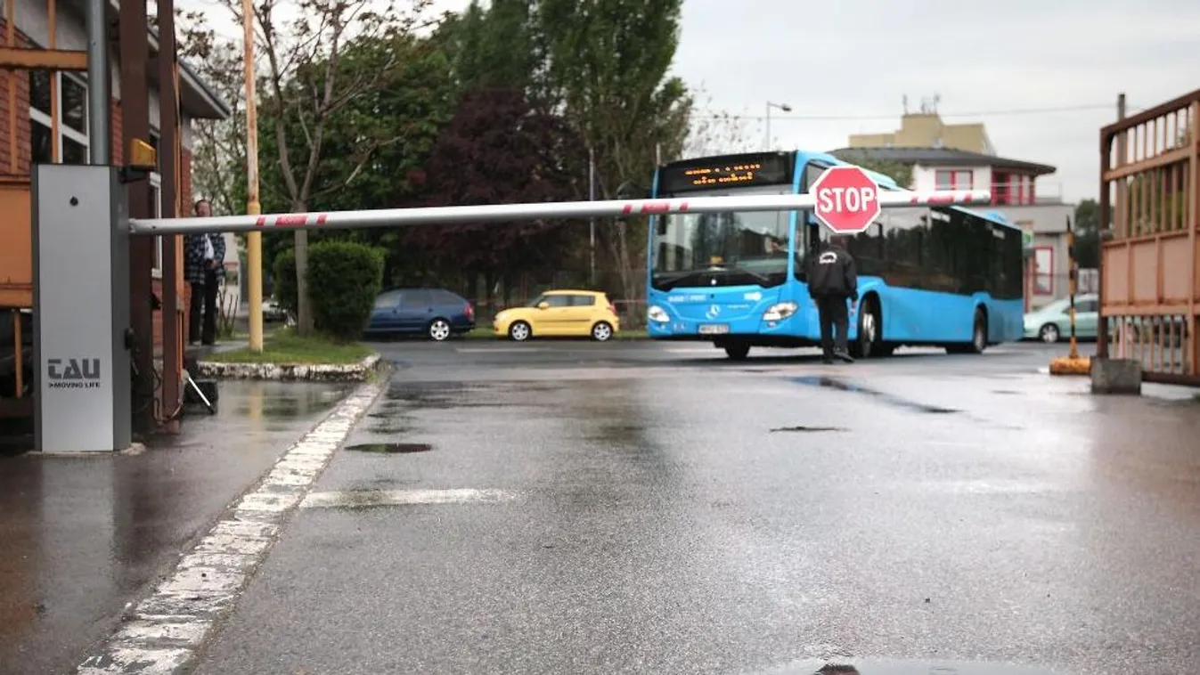 Ikarusz – Magyarország élőben