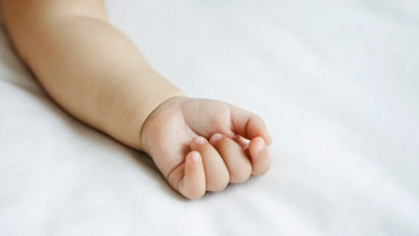 Védőháló nélkül? – Reggeli járat