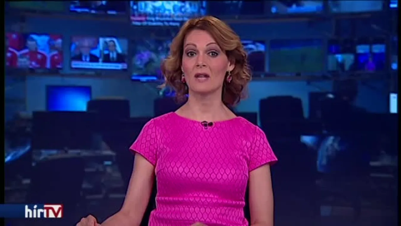 Ausztria a magyarokkal és a szlovénekkel védené a határokat