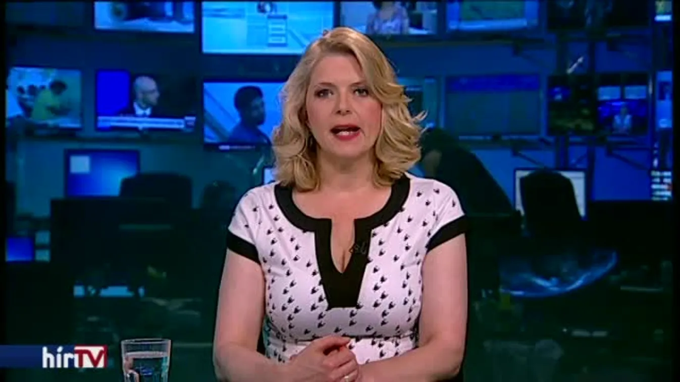 A BRFK cáfolja a ligetvédő nő sérülését