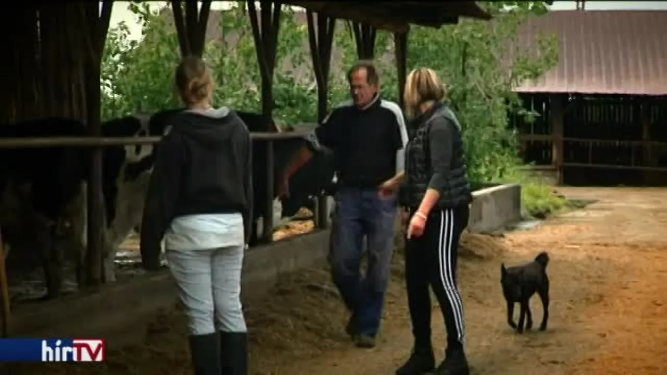 Látótér – Zöldmezős átruházás