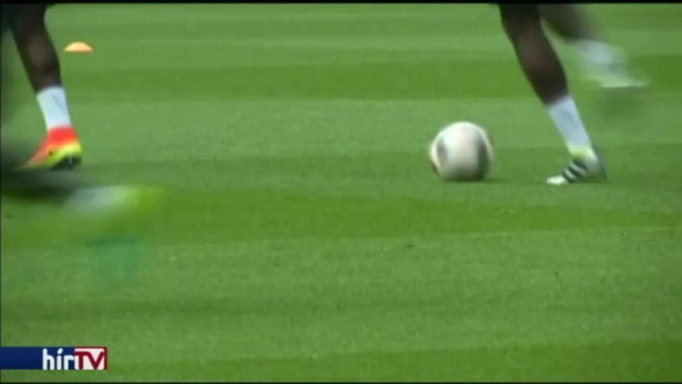 Löw tudja, mire kell figyelniük