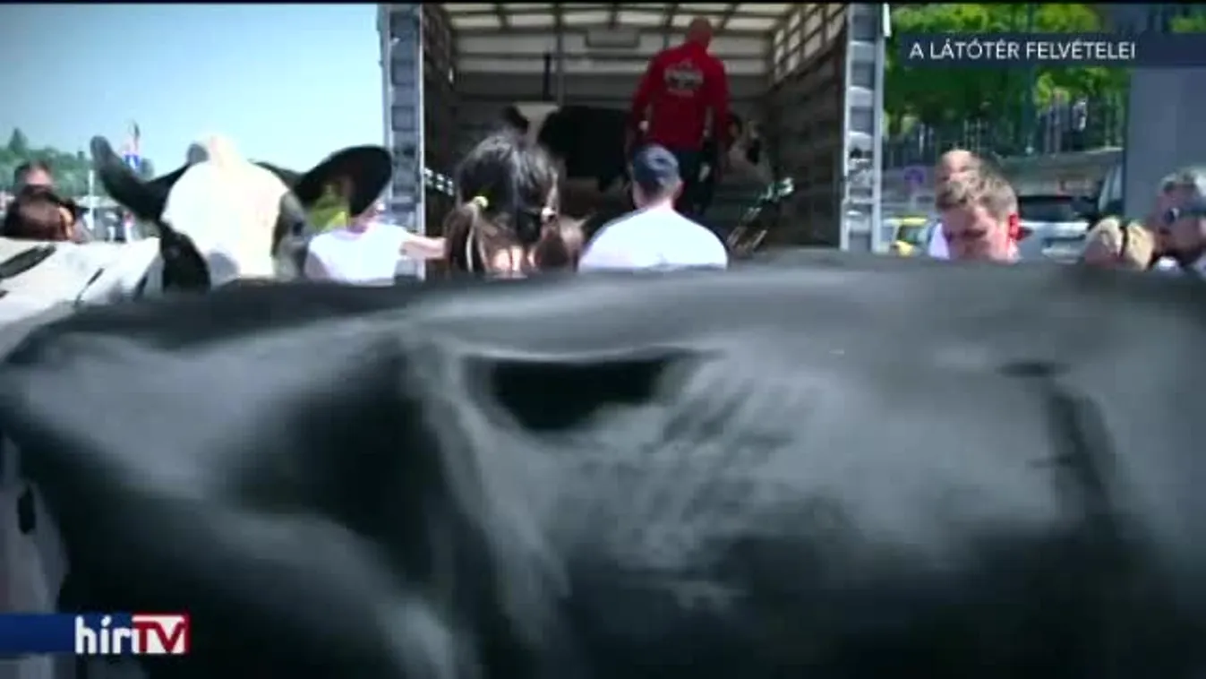 Hideg zuhany a tejtermelőknek, veszélyben az ágazat