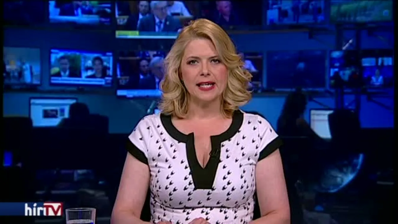 Hadházy is pályázik Schiffer helyre