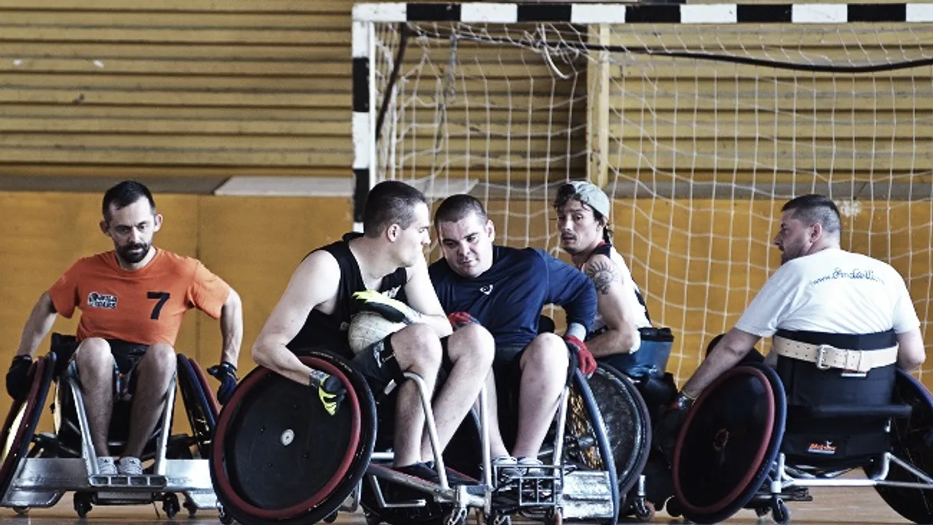 Vaddisznók - Vetítő (ismétlés)