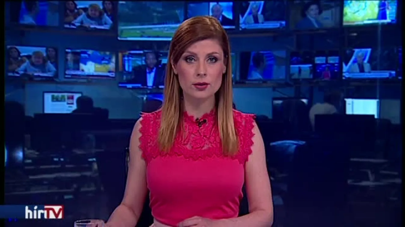 Megnyílt az ország első kutyastrandja