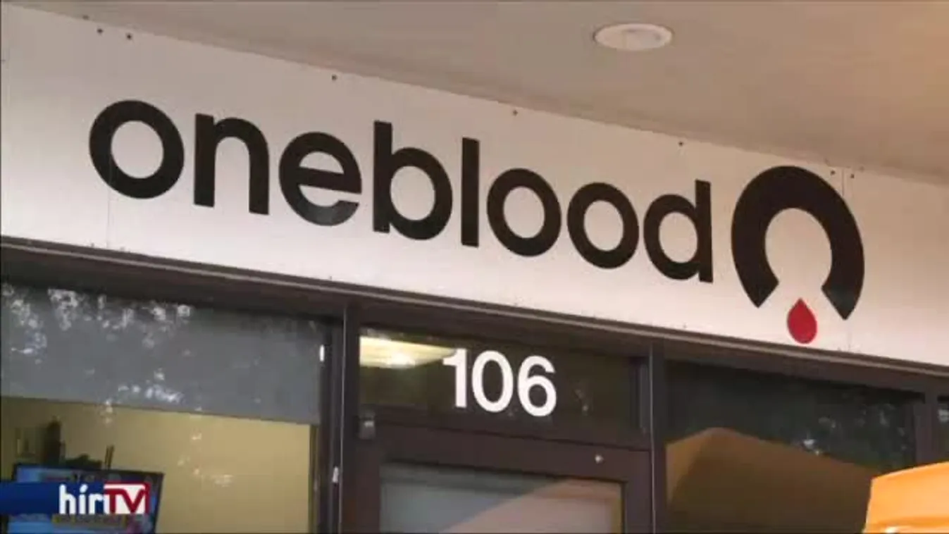 Hírvilág - Alapjog