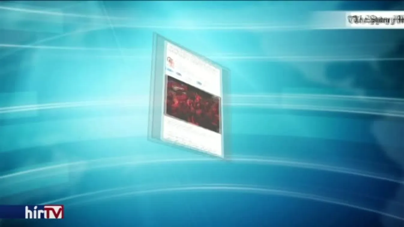 Egyenlőségjelet tettek a holokauszt és a melegházasság közé