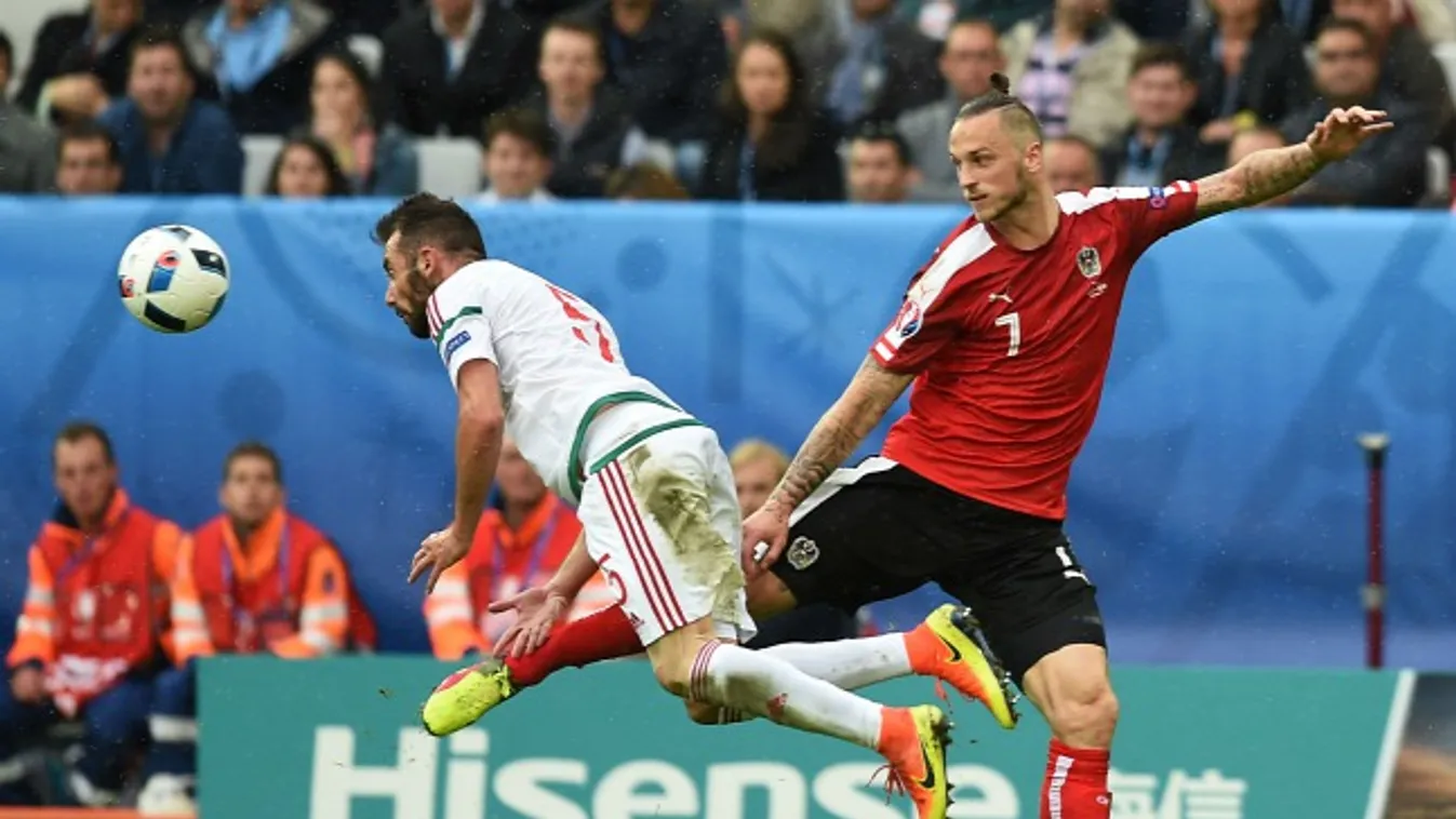 Fiola játéka kérdéses – Nikolics reméli, bizonyíthat