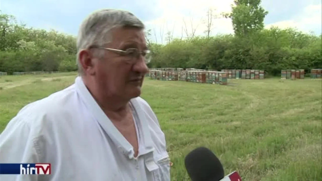 Soroló – Küzdelmes akácszezon