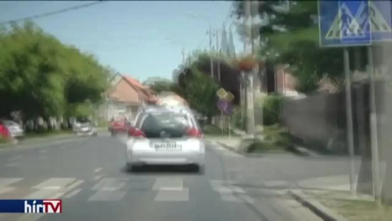 Panaszkönyv – Nagy sonkateszt