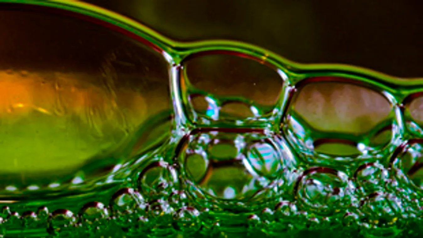 Csaló vigécet vettek őrizetbe a rendőrök