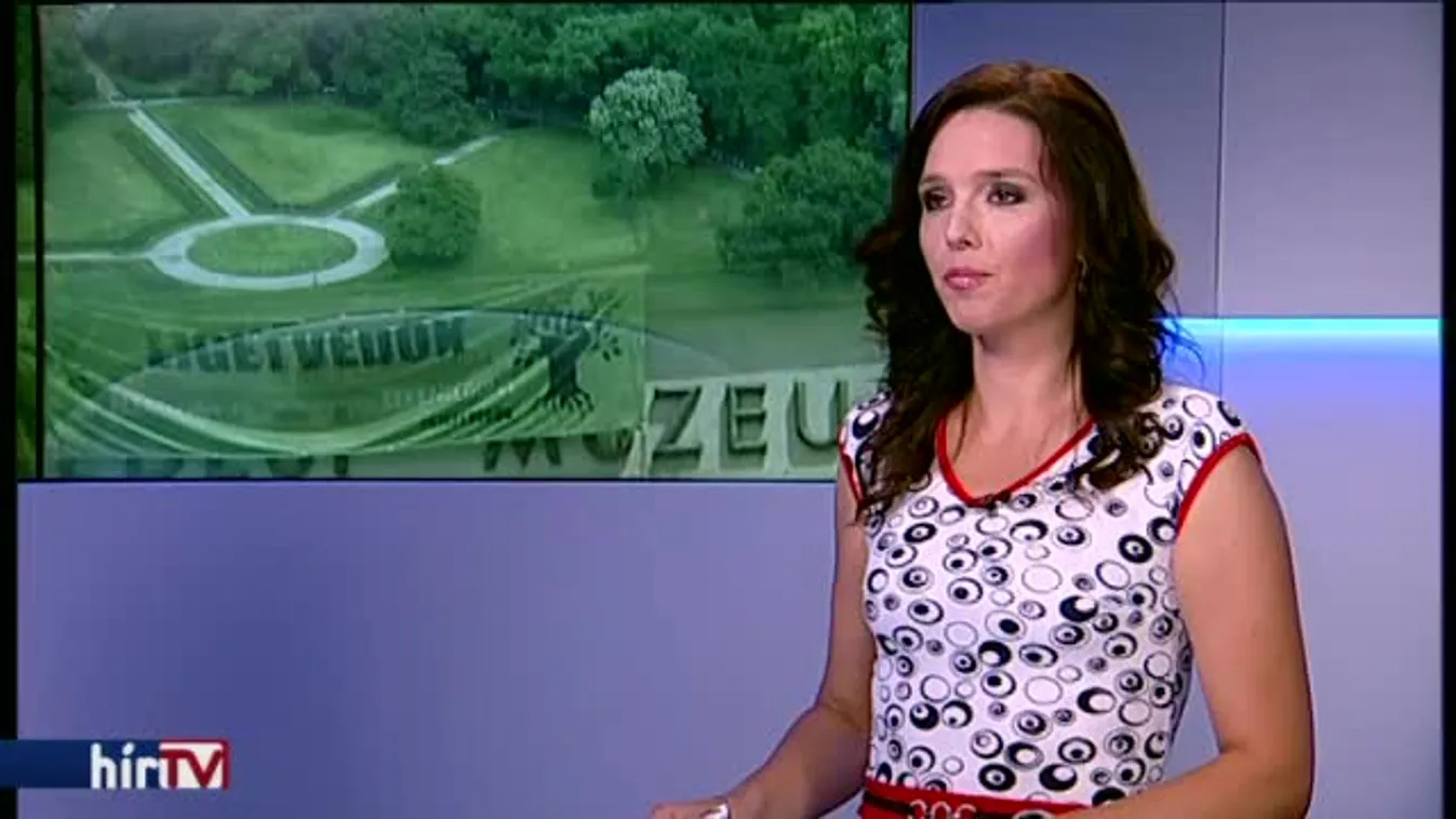 Magyarország élőben – Gyűlöletkeltőnek tartják sokan az új kormányzati plakátokat