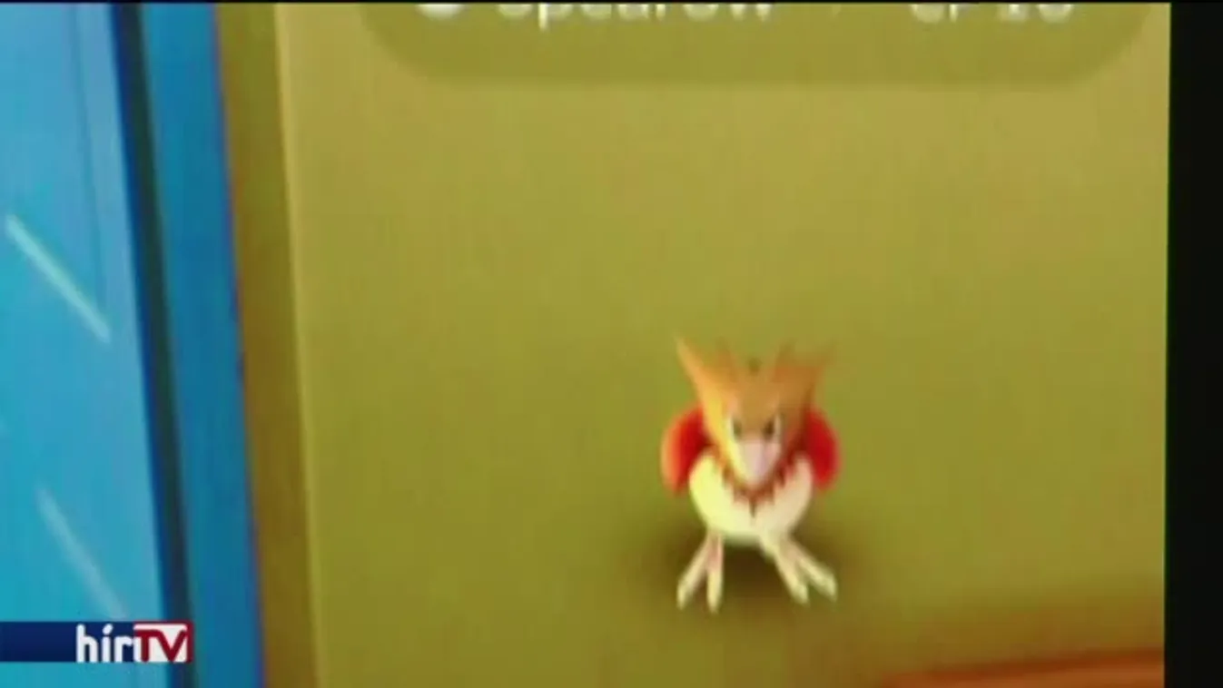 Pokémon: Molnár játékfüggő, Z. Kárpát a való világra esküszik