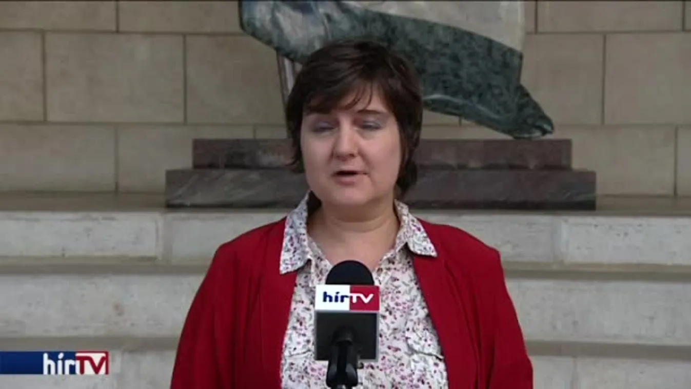 PM: a Red Bull Air Race sérti az egészséges környezethez való jogot