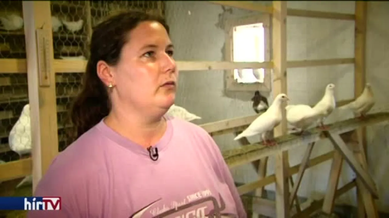 Látótér – Mélységi migráció