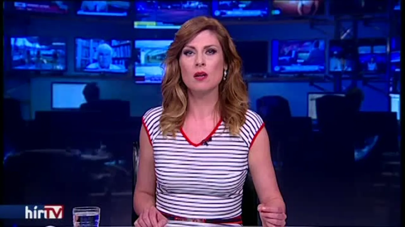 Egy nap után megszökött Fótról a baltás terrorista