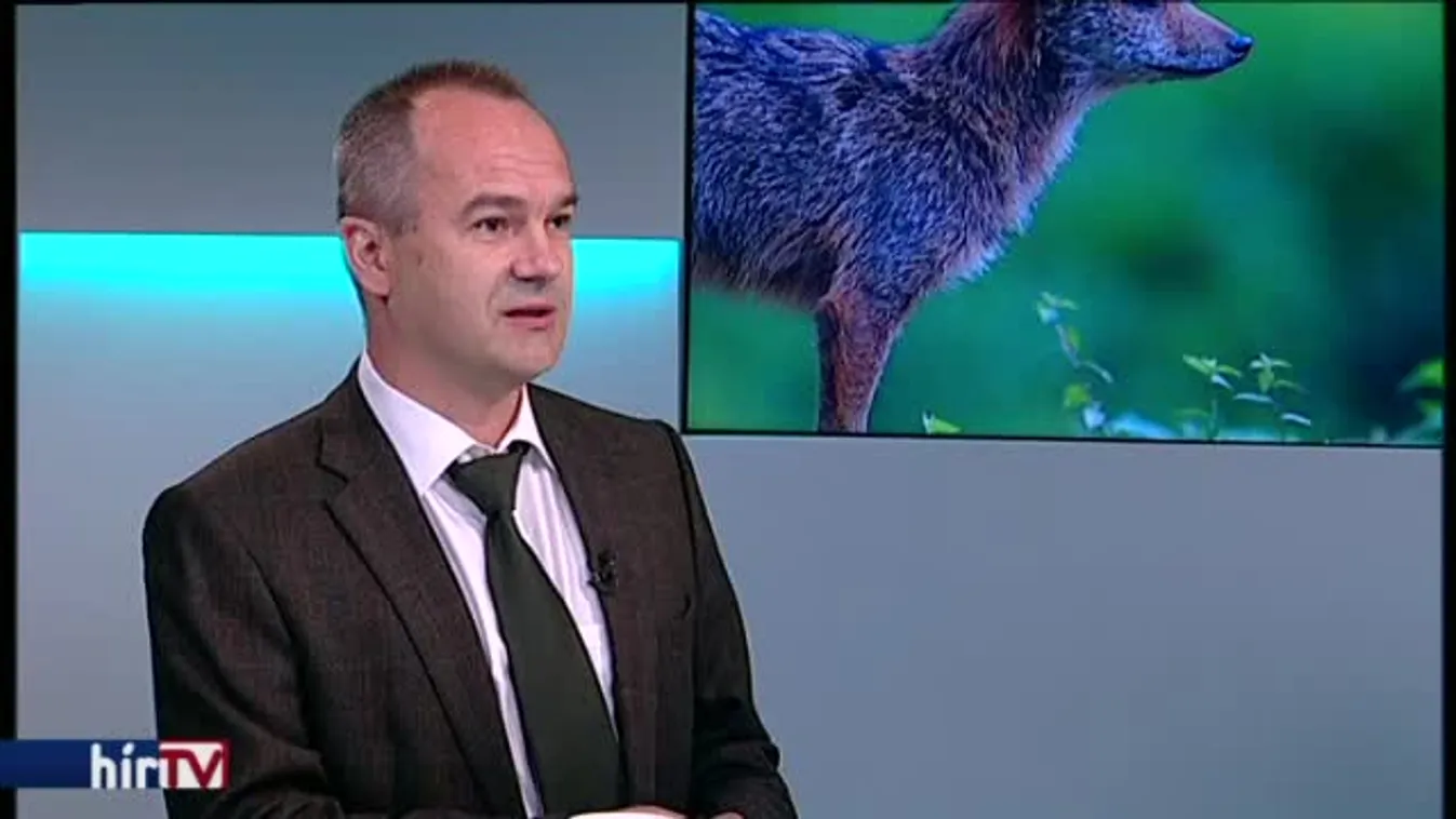 Reggeli járat – Támad az aranysakál