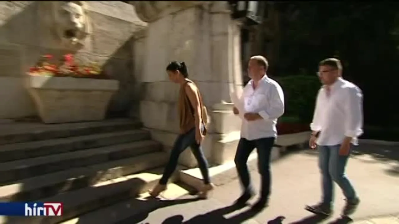 Alkotmányjogi panaszt nyújtott be Szanyi