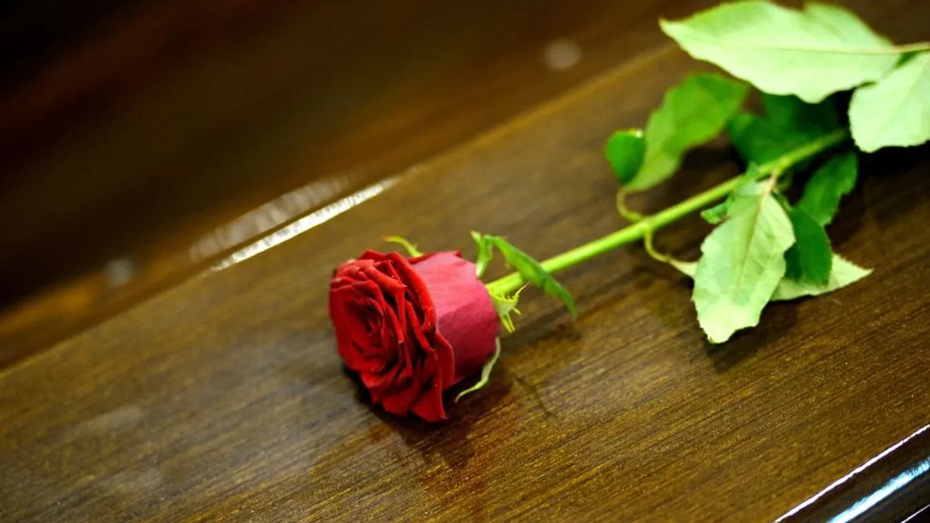 Koporsó – Riasztás