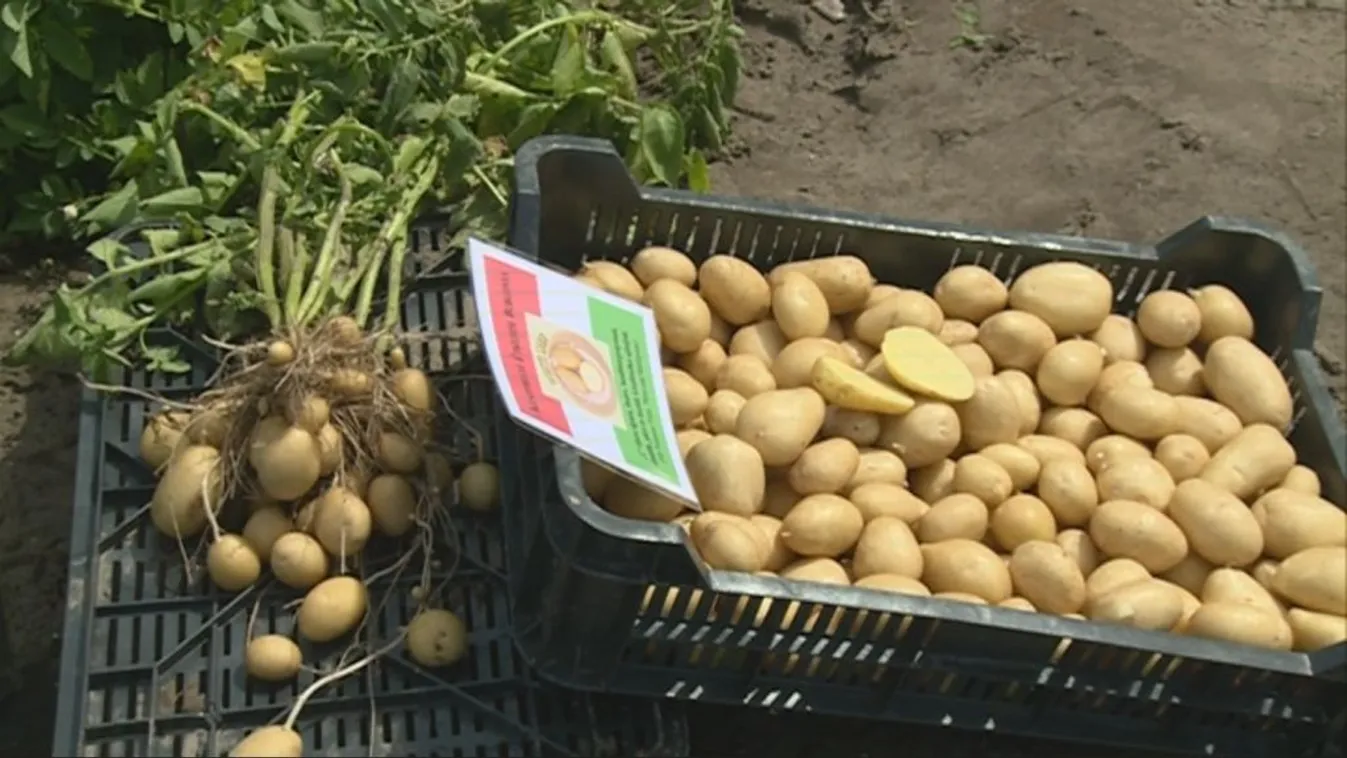 Büntetésre számíthatnak – Soroló