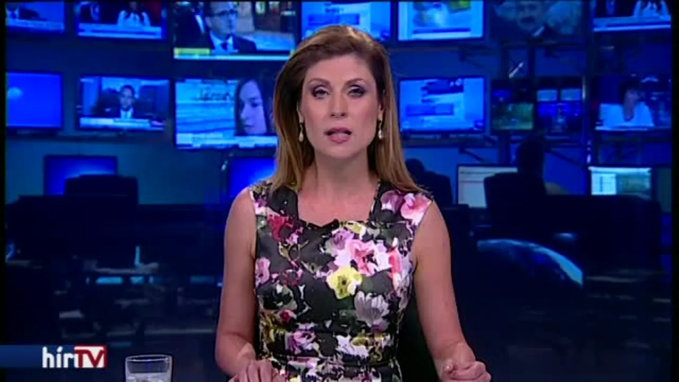 Nem csak a Ligetben tiltakoznak a fakivágások ellen