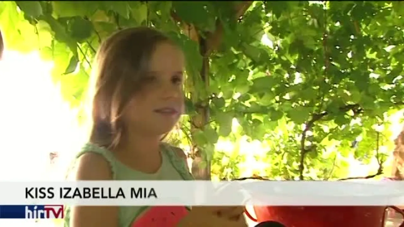 Állati hétvége a skanzenben