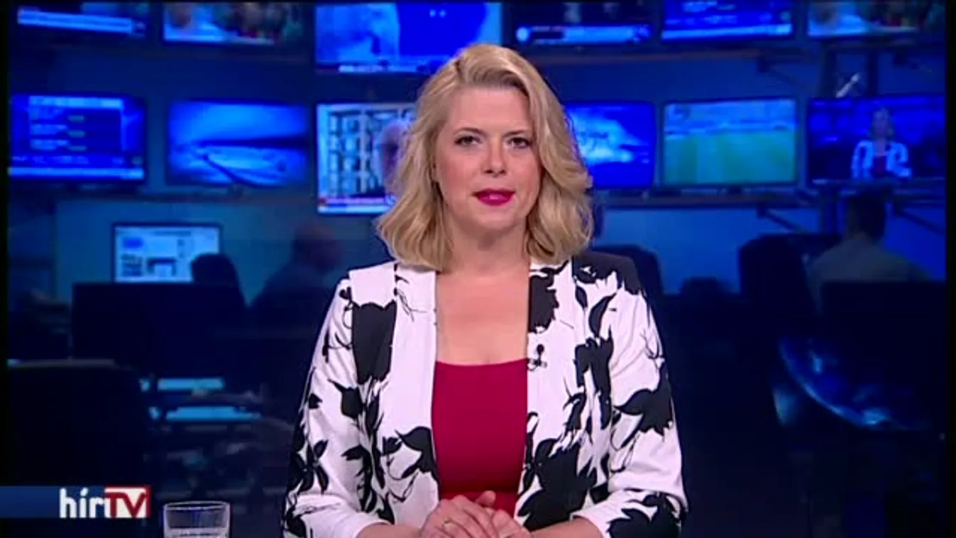 Nyilvános lehet Vizoviczki Kubatovnak írt levele