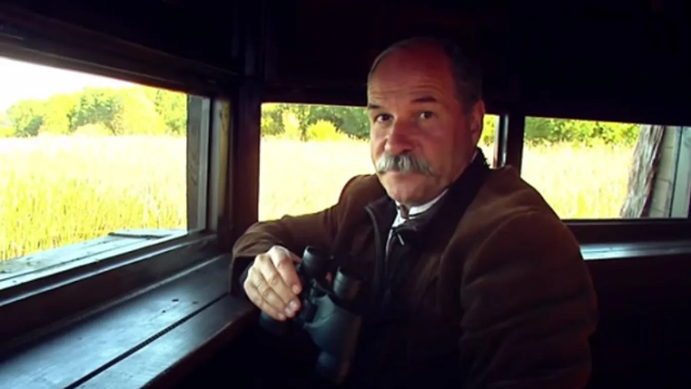 Mese a somogyországi patakgörbítőkről – Vetítő