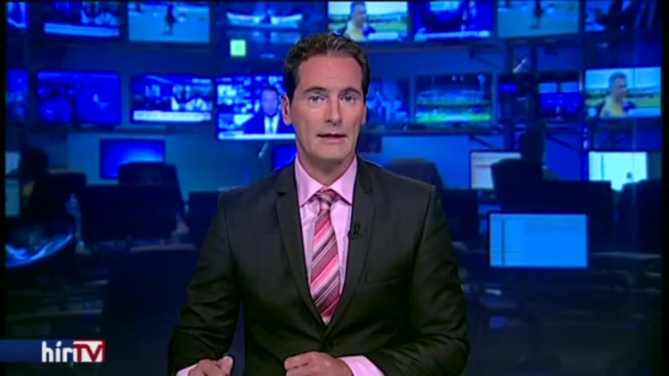 Volner: Kormányzati hurrikán repíti a Hunguard Kft.-t