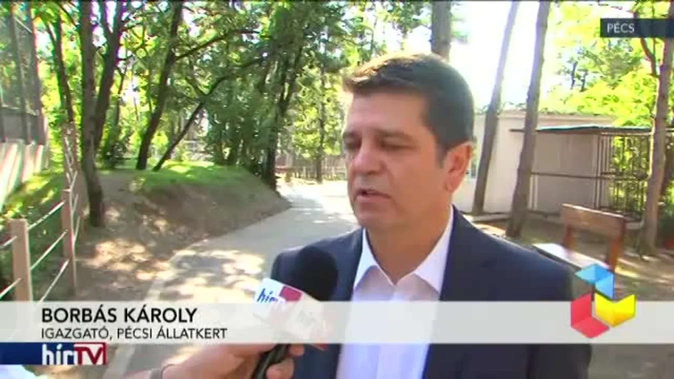 Reggeli járat – Meghosszabbított nyitva tartás az állatkertekben