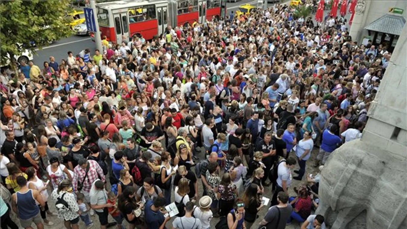 A barátságos állatok voltak a legnépszerűbbek