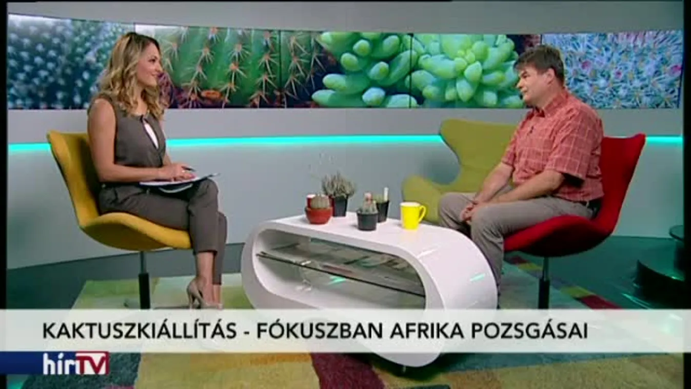 Reggeli járat – Kaktuszkiállítás a Füvészkertben