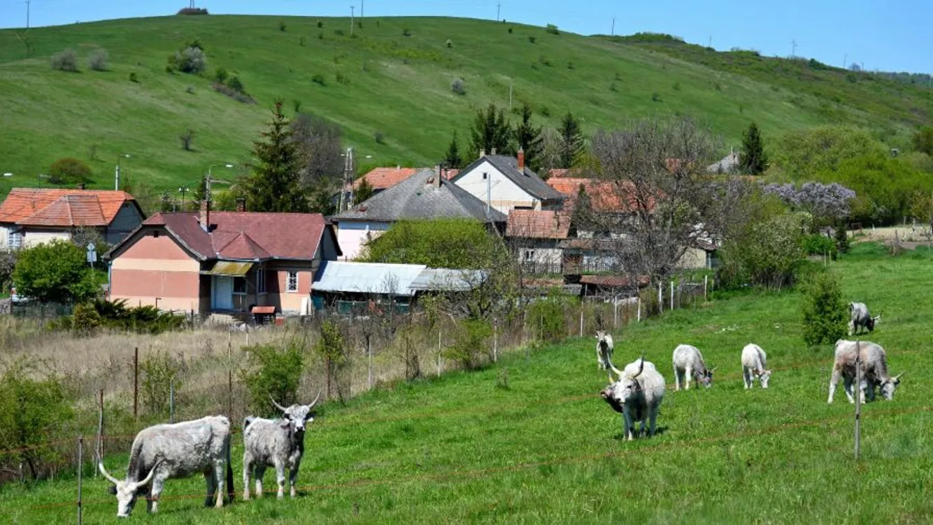 A szomszéd rétje zöldebb – Soroló