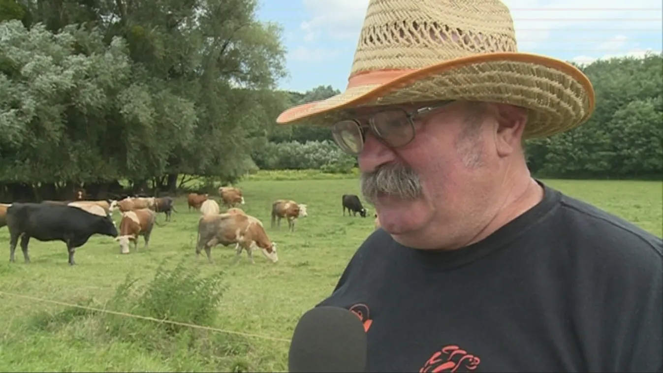 Egy hűséges gazda – Soroló