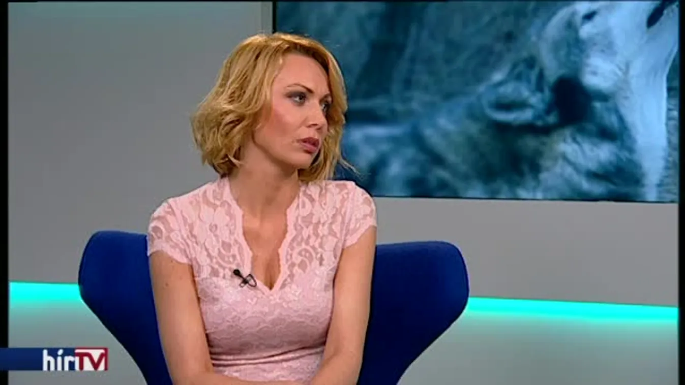 Reggeli járat – Négylábú, üvöltő szóvivők