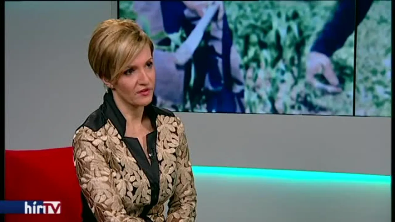 Reggeli járat – Kezelhetetlenné vált az, amit ORÖ művelt