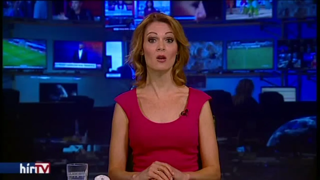 A Concorde alapítója a migrációban látja a megoldást