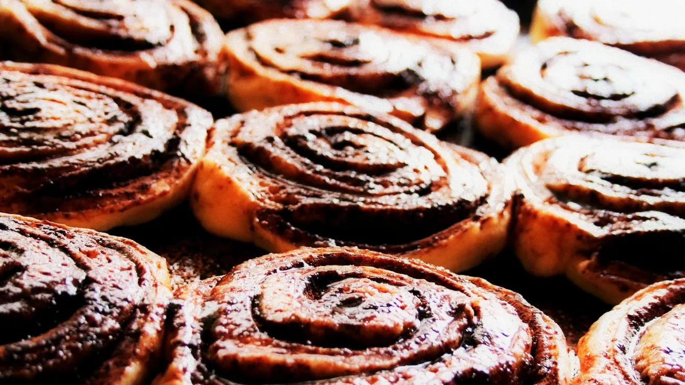 Csigák – Panaszkönyv