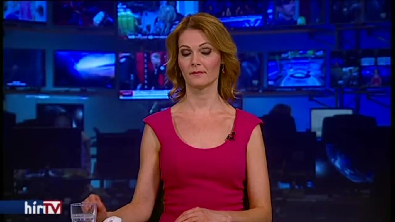 Civil és zöld szervezetek tüntetnek a fakivágások ellen