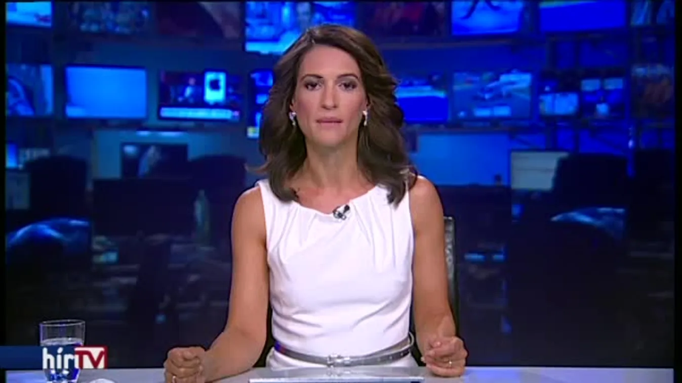 Magukra vállalták, mivel nincs ellenzék – mondja a viccpárt