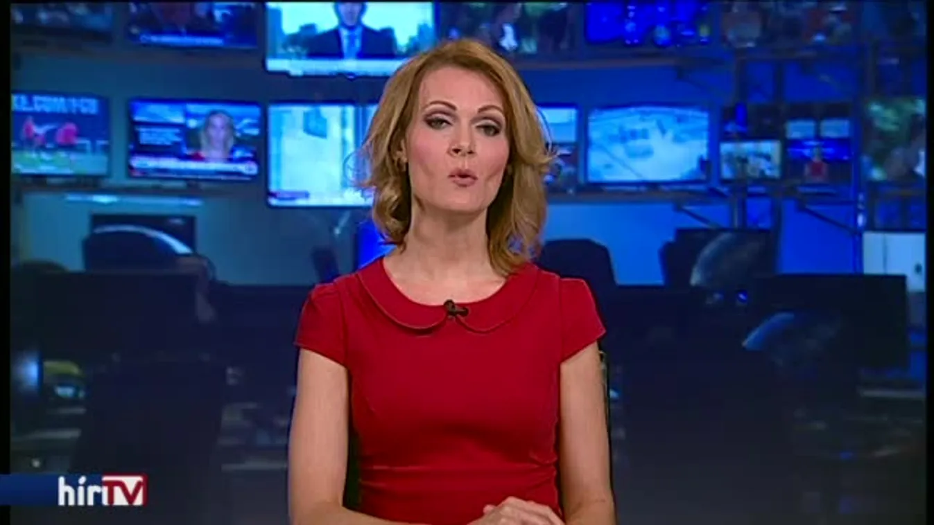 Jogsértő a viccpárt plakátjainak letépkedése