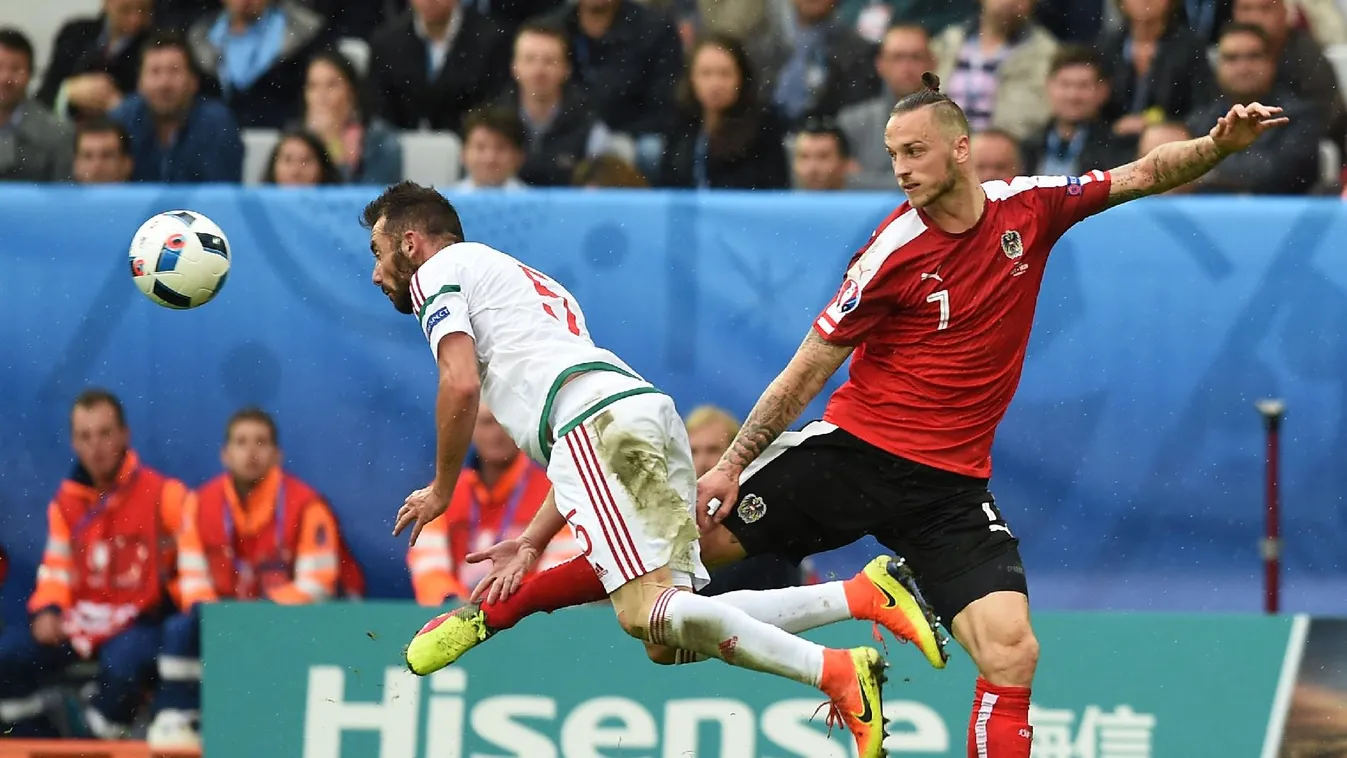 Fiola Fehérváron, Tőzsér Debrecenben folytatja