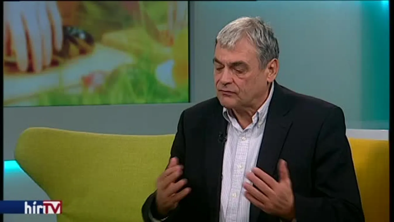 Reggeli járat – A főzés is tudomány?